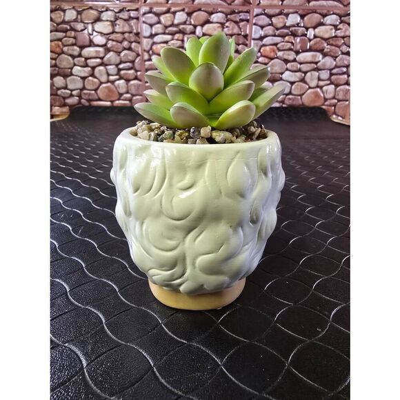 The Golden Girls Sophia Face Mini Ceramic Planter With Faux Succulent - Picture 4 of 7